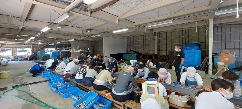 ～ 沖島で滋賀県の郷土料理「鮒ずし」を作ってみませんか ～ 鮒ずし作り体験クルーズ2024