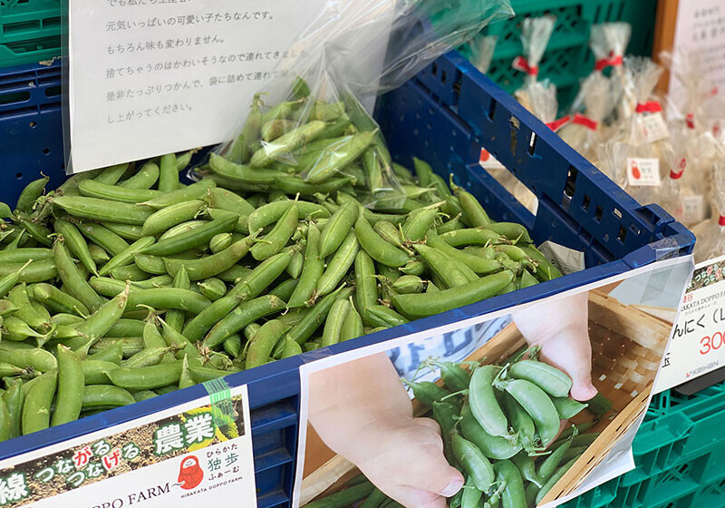 食を通じてKEIHAN BIOSTYLE PROJECTに触れていただく　「SDGｓ 食育フェスタ」を開催します