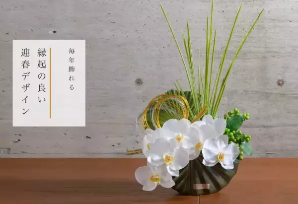 【NEW YEAR】2024年迎春 COLLECTIONを発売中です！