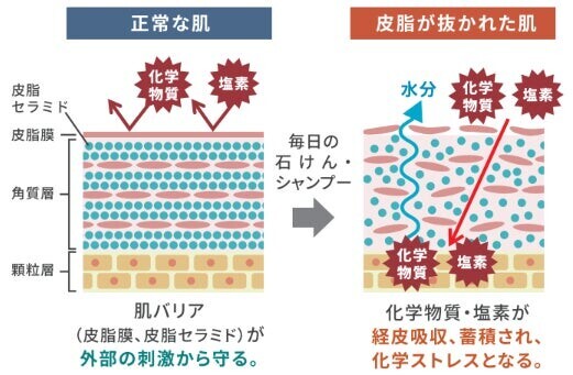 【「いい風呂の日」先着1,126(イイフロ)名様限定キャンペーン】自宅で重炭酸温泉を体感！過去イチお得なホットタブ”特別定期便”をお届け！！