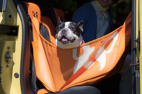 『French Bulldog Life x ルノー カングー』 コラボブースが実現！ 4/12(金)～14(日)開催「GO OUT JAMBOREE 2024」出展