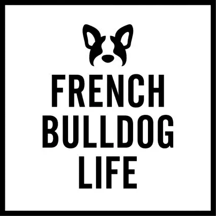 『French Bulldog Life x ルノー カングー』 コラボブースが実現！ 4/12(金)～14(日)開催「GO OUT JAMBOREE 2024」出展