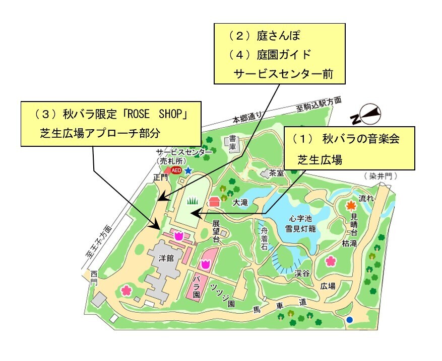 ＜約100種200株のバラが洋風庭園を彩る＞旧古河庭園「秋のバラフェスティバル」を10/5～11/8に開催