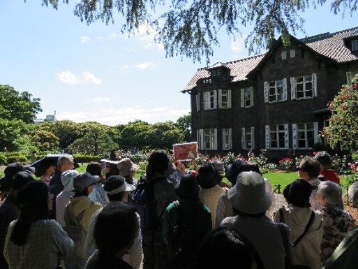 ＜約100種200株のバラが洋風庭園を彩る＞旧古河庭園「秋のバラフェスティバル」を10/5～11/8に開催