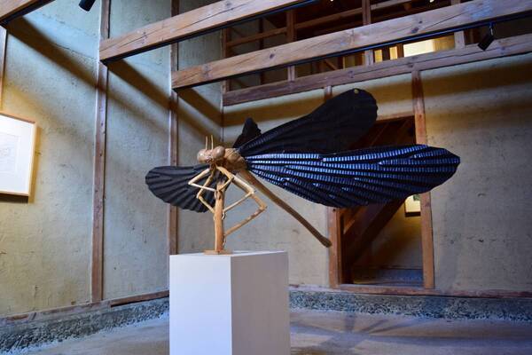 「尾身大輔－空想と虫かご－」7月26日から三原市芸術文化センターポポロで開催！