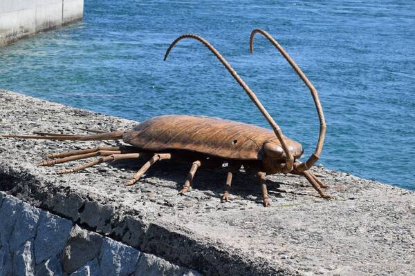 「尾身大輔－空想と虫かご－」7月26日から三原市芸術文化センターポポロで開催！