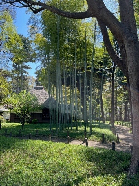 3/1～3/20開催【蘆花恒春園】京王線開業110周年蘆花恒春園「公園スタンプラリー」