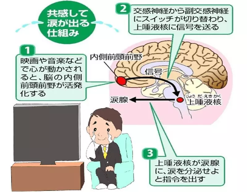 泣くことは笑いや睡眠よりもストレス解消～泣き言セラピーでチームの関係改善～、千葉県・地方職員共済組合千葉県支部・千葉県庁生活協同組合主催「涙活（るいかつ）」講演