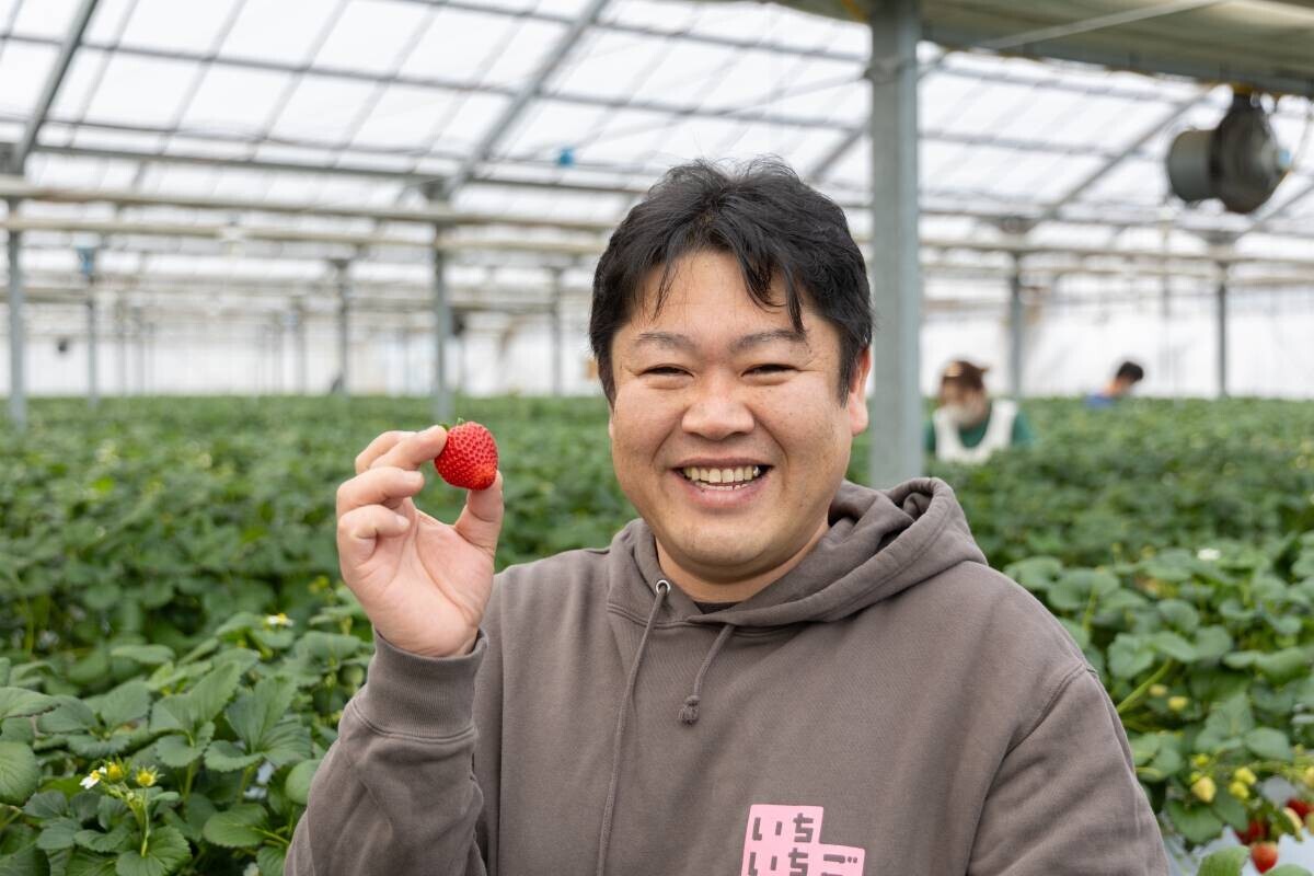 摘みたていちごの美味しさを届けたい｜宮城県山元町・いちご生産者の「一苺一笑（いちごいちえ）」さんを訪ねました