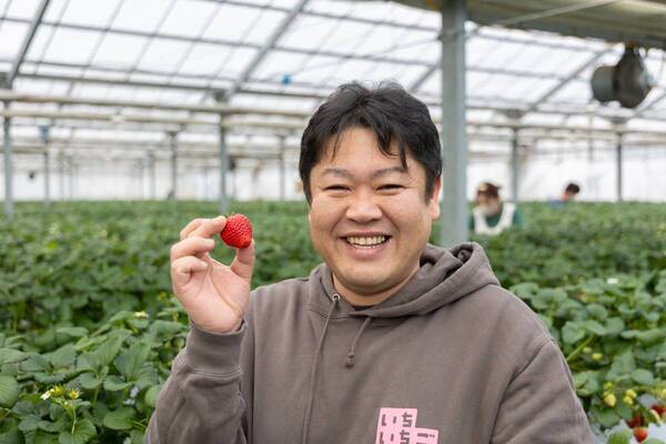摘みたていちごの美味しさを届けたい｜宮城県山元町・いちご生産者の「一苺一笑（いちごいちえ）」さんを訪ねました