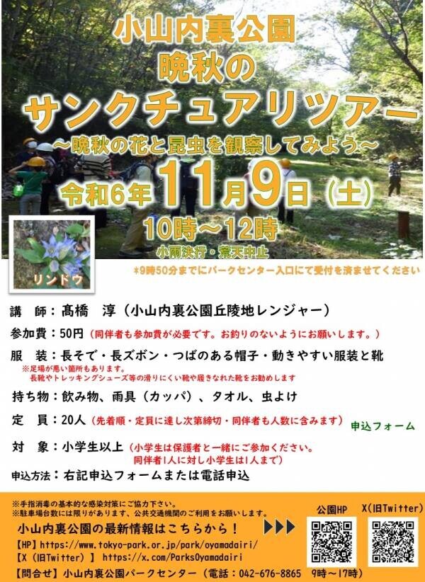 小山内裏公園「サンクチュアリ・ツアー～晩秋の花と昆虫を観察してみよう～」11月9日(土)開催