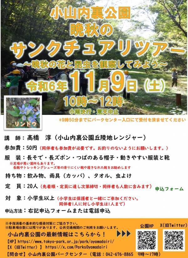 小山内裏公園「サンクチュアリ・ツアー～晩秋の花と昆虫を観察してみよう～」11月9日(土)開催