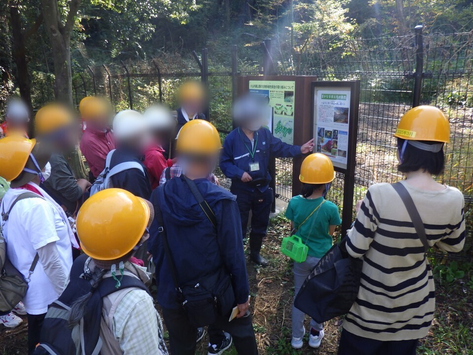 小山内裏公園「サンクチュアリ・ツアー～晩秋の花と昆虫を観察してみよう～」11月9日(土)開催