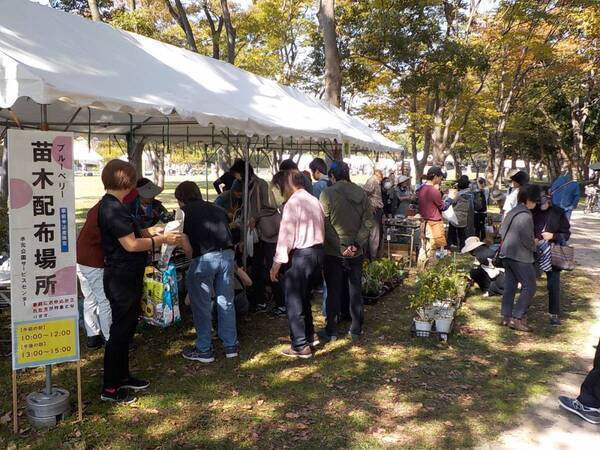 11/3 第19回水元公園ふれあいフェスティバルを開催　ステージパフォーマンスをはじめ、展示や生きものとふれあえるブースなど盛りだくさんです