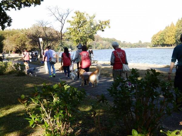 11/3 第19回水元公園ふれあいフェスティバルを開催　ステージパフォーマンスをはじめ、展示や生きものとふれあえるブースなど盛りだくさんです