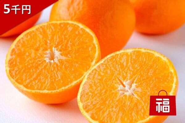 ＼冬のたび福袋／最大4,000円以上もお得！ステーキや蟹など年末年始に食べたいグルメが大集合！12月1日20時より発売【旅する久世福e商店】