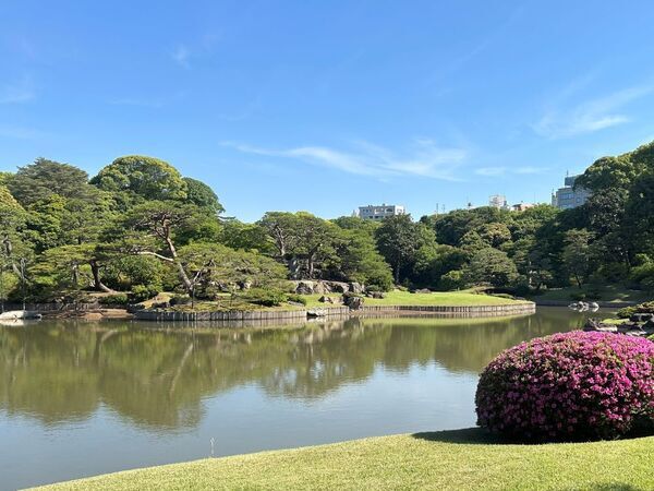 「初夏の六義園～さつきと和のあじさいを楽しむ～」6月23日(日)まで開催中！