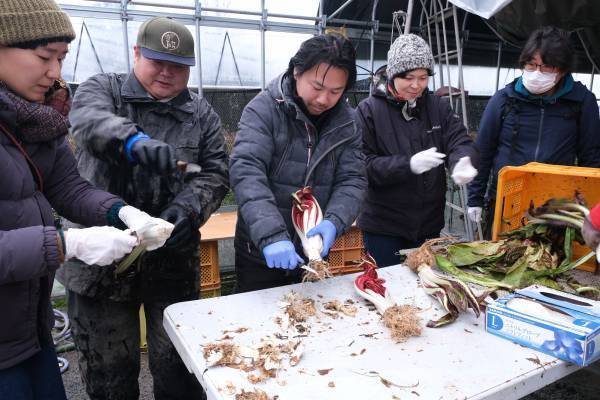 まちのテーブルと地域をつなぐ。食を通じて"さと"を感じ、まち を彩るレストラン「Sato alla Tavola」プロジェクトをスタート