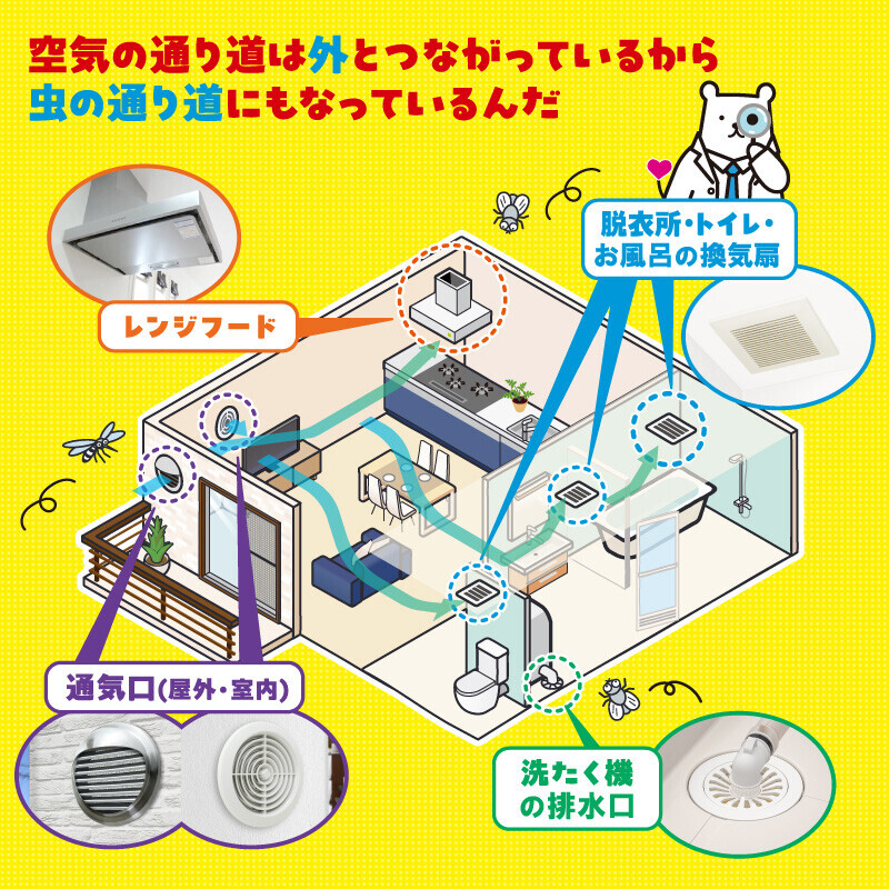 フィルたんをパッと貼るだけで虫の侵入を防ぐ！おうちの防虫対策のコラムを公開！