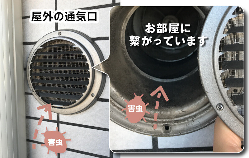 フィルたんをパッと貼るだけで虫の侵入を防ぐ！おうちの防虫対策のコラムを公開！