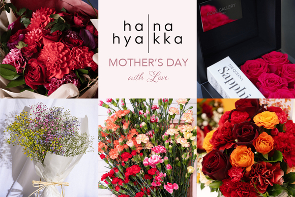 MOTHER’S DAY2024.5.12(SUN)｜今年の『母の日』に送るフラワーギフト 　予約販売受付中