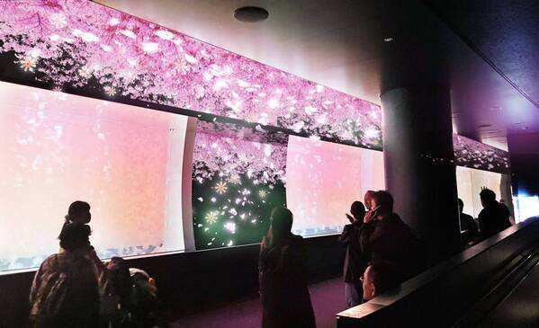 【アクアワールド茨城県大洗水族館】美しき四季とクラゲが織りなす、新しい癒し空間が誕生！ クラゲ大水槽『くらげ３６５』が３月２０日にリニューアルオープン！