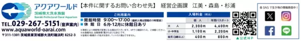 【アクアワールド茨城県大洗水族館】美しき四季とクラゲが織りなす、新しい癒し空間が誕生！ クラゲ大水槽『くらげ３６５』が３月２０日にリニューアルオープン！