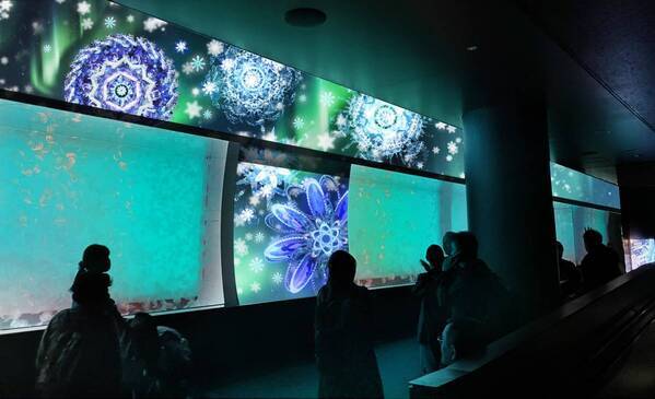 【アクアワールド茨城県大洗水族館】美しき四季とクラゲが織りなす、新しい癒し空間が誕生！ クラゲ大水槽『くらげ３６５』が３月２０日にリニューアルオープン！