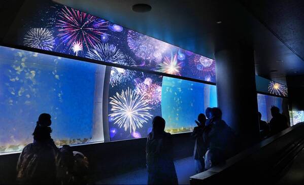 【アクアワールド茨城県大洗水族館】美しき四季とクラゲが織りなす、新しい癒し空間が誕生！ クラゲ大水槽『くらげ３６５』が３月２０日にリニューアルオープン！