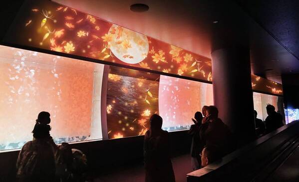 【アクアワールド茨城県大洗水族館】美しき四季とクラゲが織りなす、新しい癒し空間が誕生！ クラゲ大水槽『くらげ３６５』が３月２０日にリニューアルオープン！