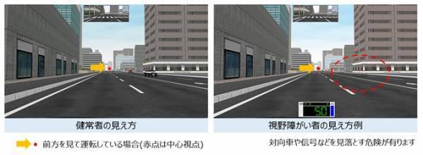 「緑内障による事故を無くしたい」 模擬運転体験で交通事故ゼロの社会に ！１月19日～21日　パリミキ鴻巣店にて体験会実施！