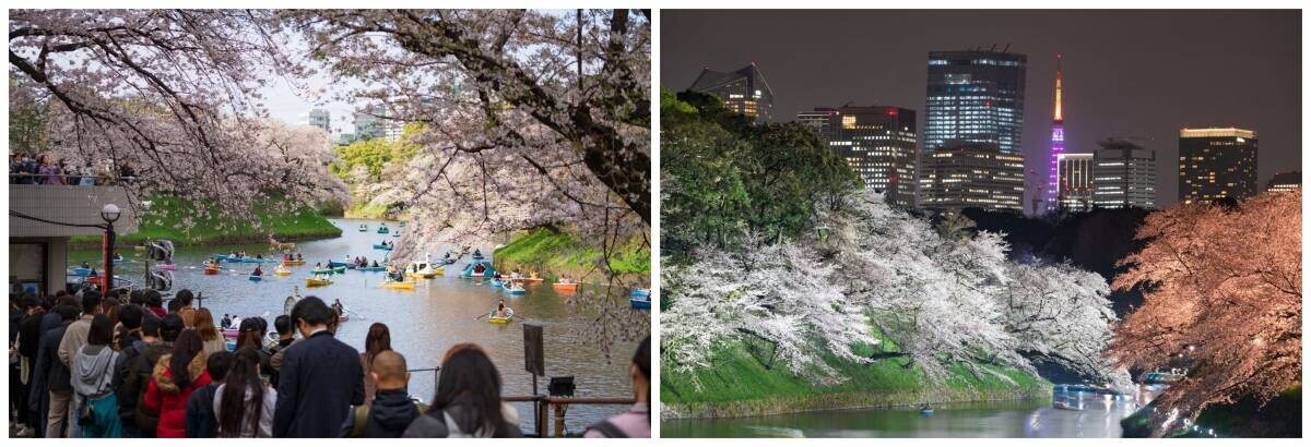 桜が綺麗なお花見スポットを巡りながら楽しむ街歩き。“千代田のさくらまつり”でリアル謎解きゲームを開催。3/18(月)から