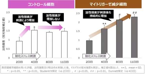 若返りの鍵「マイトリガーゼ」の新知見