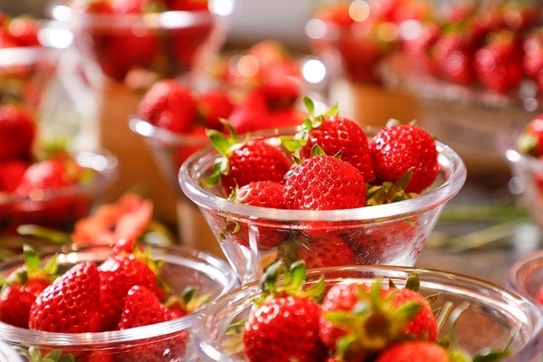 【4/7(日)～5/10(金) いちごビュッフェ】－フレッシュ苺が食べ放題！－ビュッフェプラン予約受付中。京丹後市「夕日ヶ浦温泉 時季を彩る 佳松苑」