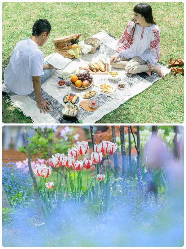 【ロッジ舞洲】春爛漫、大阪・舞洲「ネモフィラ祭り」の入園券付き宿泊プラン！近接するホテル・ロッジ舞洲が春の特別企画を実施