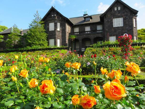 旧古河庭園に咲く見ごろのバラをご紹介！「春のバラフェスティバル」開催中！