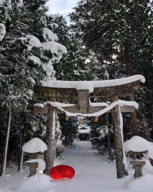 【山口県周南市】＃しゅうなんたびフォトコンテスト受賞作品決定