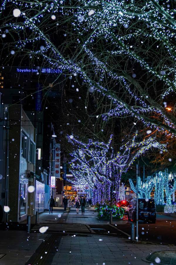 【山口県周南市】＃しゅうなんたびフォトコンテスト受賞作品決定