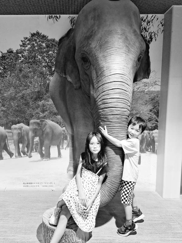 【山口県周南市】＃しゅうなんたびフォトコンテスト受賞作品決定