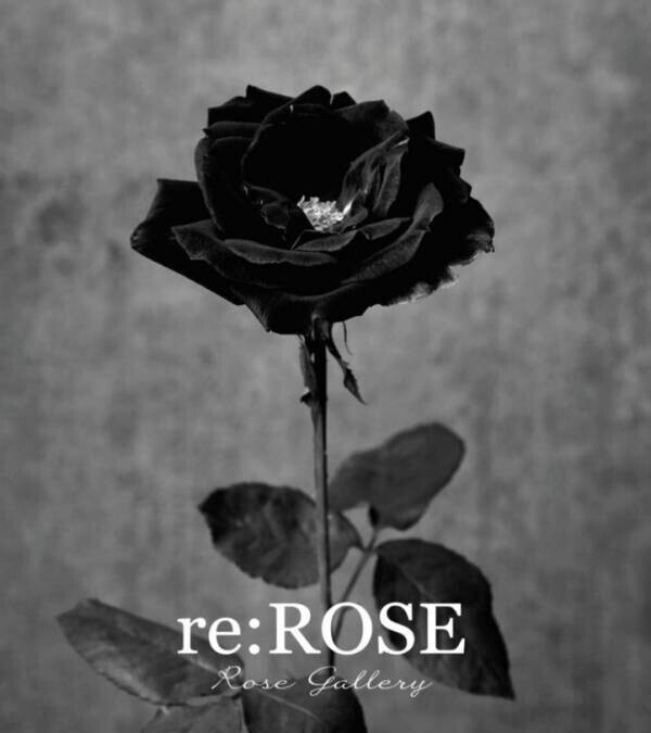 【イベントレポート】アルバルク東京 × ROSE GALLERY　〜会場彩るバラのある週末〜