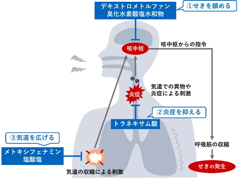 「パブロンせき止めトリプル錠」新発売！