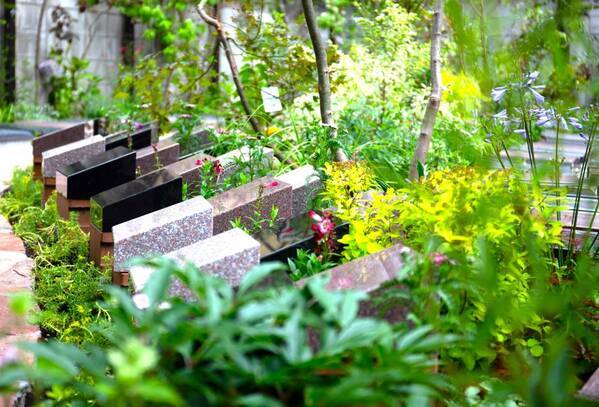 ペットも一緒に終活のススメ、ペットと一緒に眠れる樹木葬「三田花苑」 見学会開催