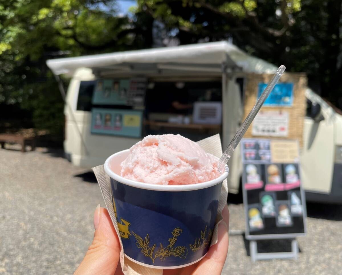 【旧古河庭園】色とりどりの秋バラが見頃を迎えたことをお知らせします ～秋のバラフェスティバルは11月8日(金)まで開催中です！～