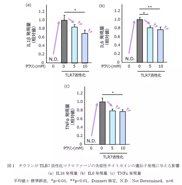 タウリンは炎症に伴う免疫細胞へのダメージを軽減する