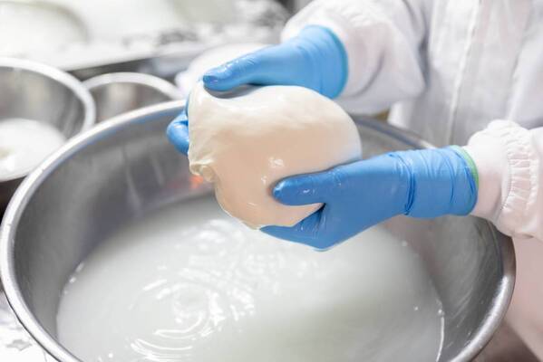 宮城県産生乳100％！チーズ工房Cheese Atelier Mozzaoさんの手づくりモッツァレラチーズがディナーメニューに新登場