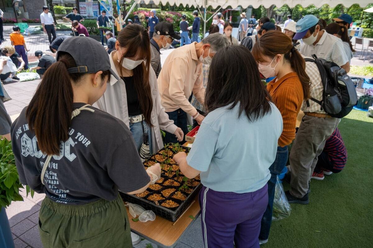 「嵐電沿線フジバカマプロジェクト」 手を取り合って、未来へ繋ぐ生命の花を育む 京都府の絶滅寸前種「フジバカマ」を守り、育てる活動を実施