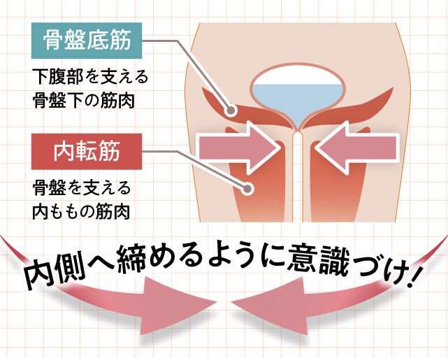 【新発売】座って挟むだけで簡単に下半身のエクササイズができるトレーニングマシン『シェイクフィット』を2024年9月19日（木）に発売いたしました。