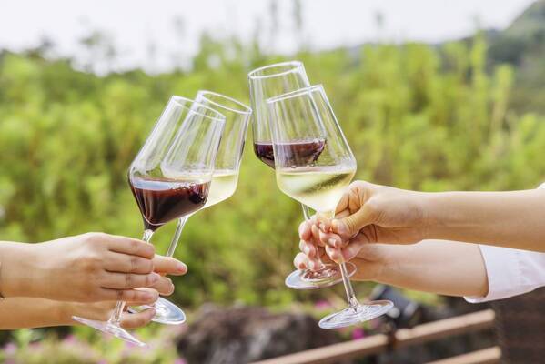 淡路島「Auberge フレンチの森」ソムリエ厳選のイタリアワインを愉しむ 爽やかな春を彩る『ワインの館 vol.5』5月11日（土）、12日（日）開催