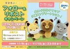 『タヌキとキツネ』のソユー限定プライズが登場！ソユーの店舗にて2024年11月15日（金）から展開予定！