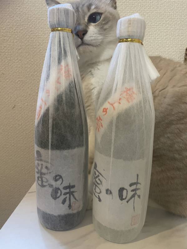 六本木【銀座クラブ兼歯科衛生士が新たなる挑戦】会員制カラオケBAR「 蜜の味」オープン